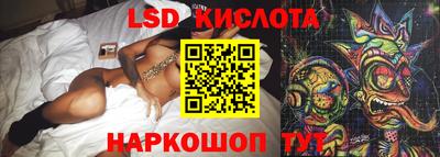 шишки Изобильный