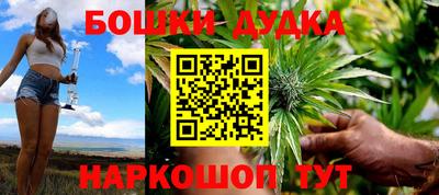 шишки Изобильный
