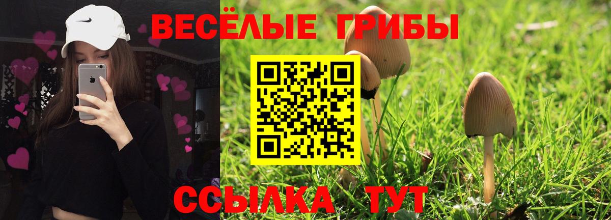 Псилоцибиновые грибы MAGIC MUSHROOMS  Вход с VPN  Галлюциногенные грибы Psilocybe  Красноуфимск 